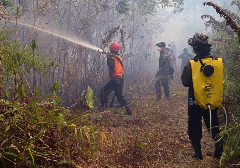 dollar-handle image 1