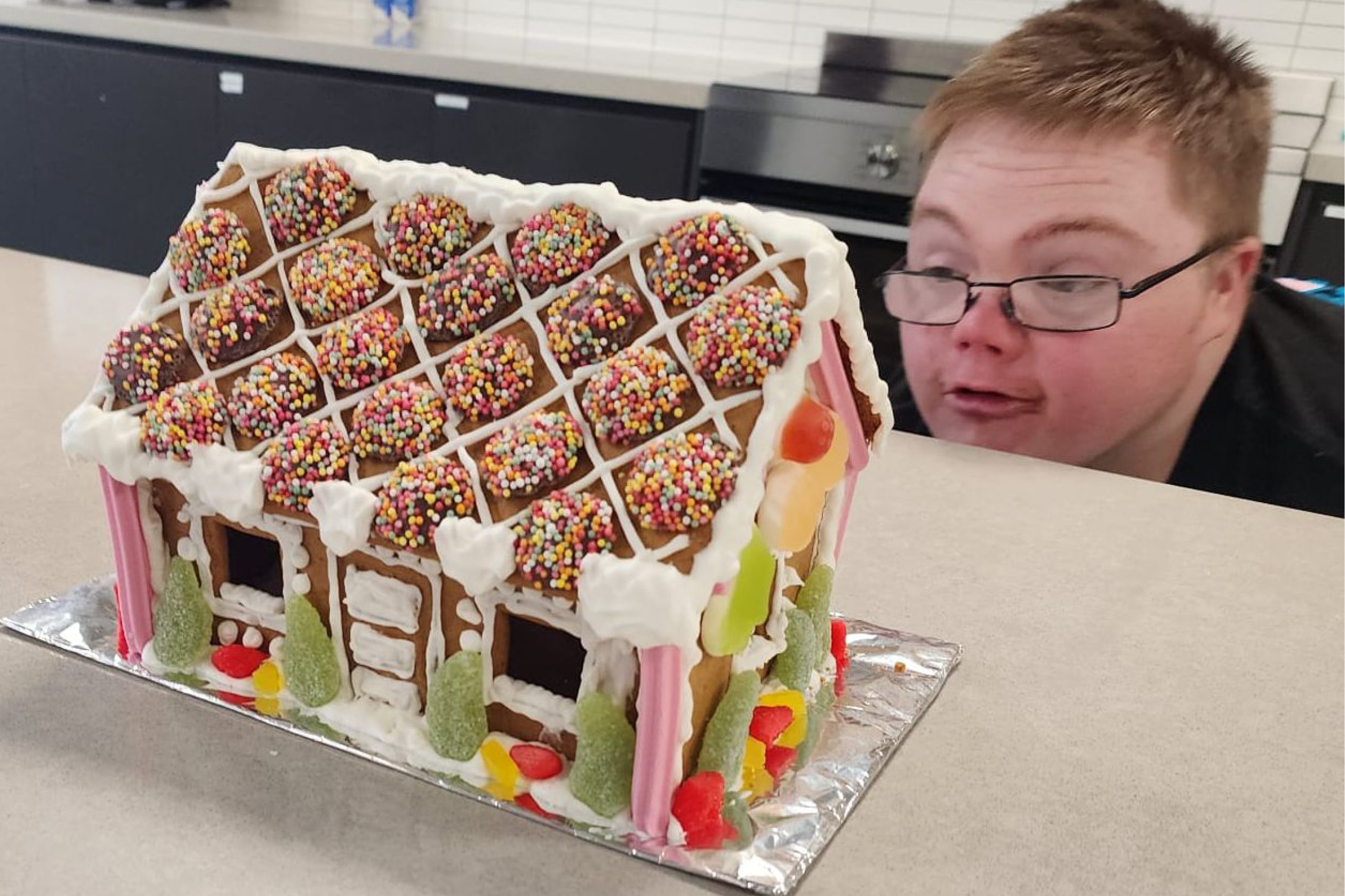 dollar-handle image 2